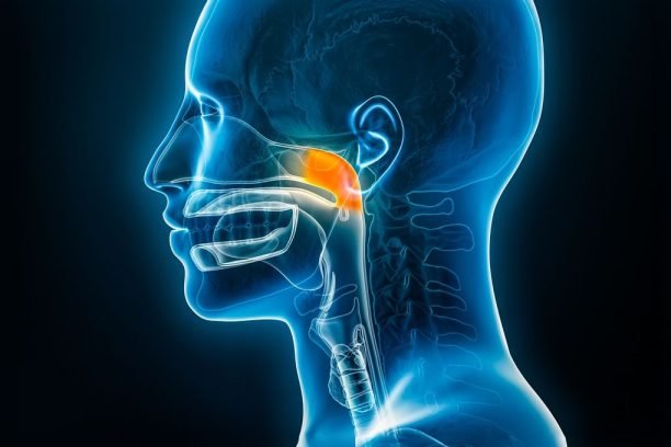 b555336ee7fa7043b7e8bca54fdb028a